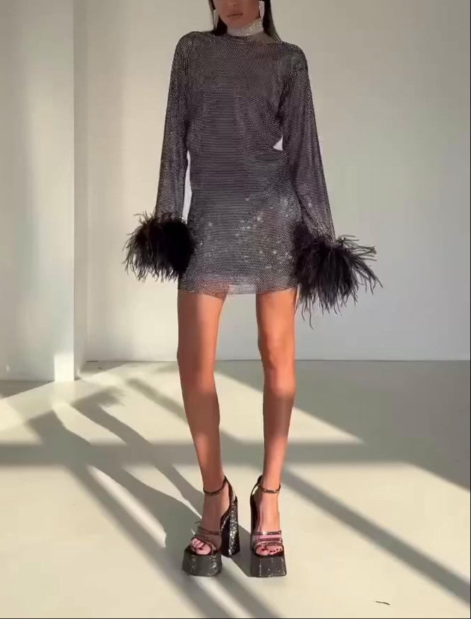 Rhinestone Fishnet Feather Panel Dress
