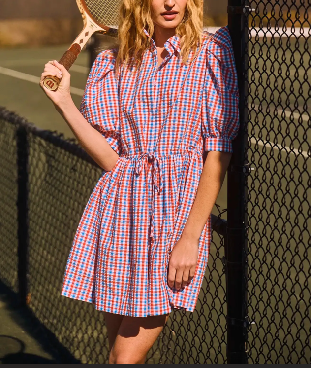 Puff Sleeve Gingham Mini Dress